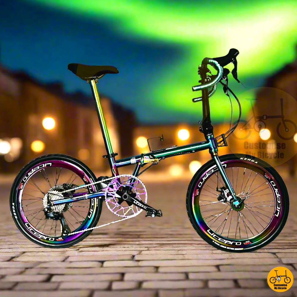 Fnhon Gust 22” • Shimano 9s • Oil Slick Roadie