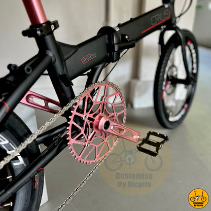 Crius 20” foldie with LITEPRO hollowtech chainring

