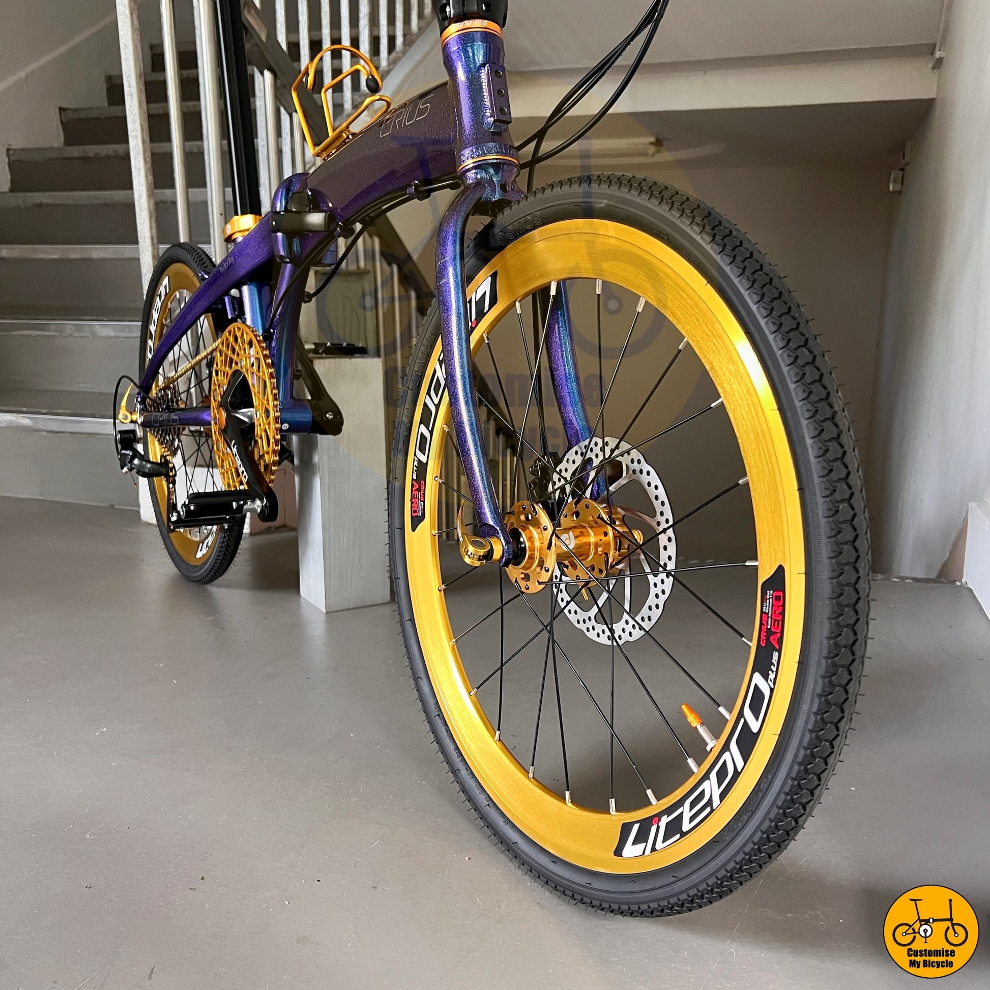 Singapore’s Popular Foldable Bicycle – Custom Crius Velocity 22”
