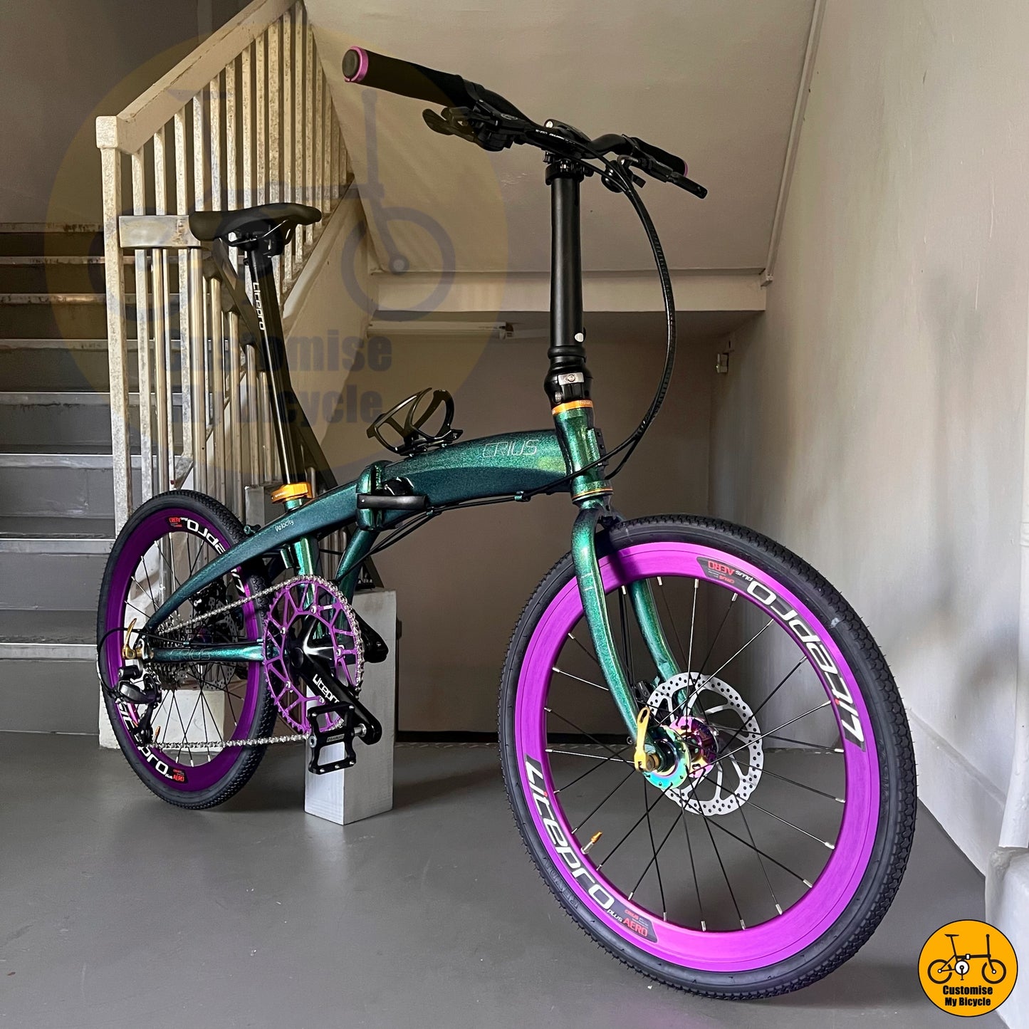 Crius Velocity 22-inch Folding Bike – Purple Wheel & Chameleon Green Frame for City Rides
