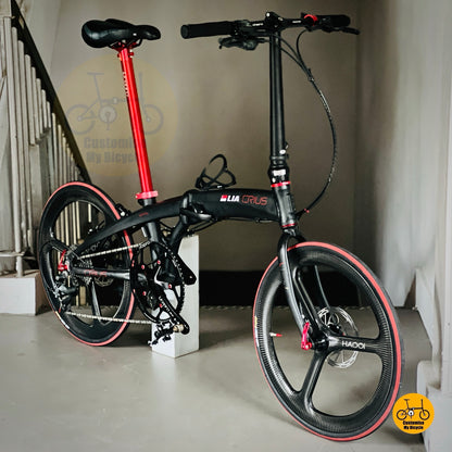 Foldie with racing geometry and high performance parts  