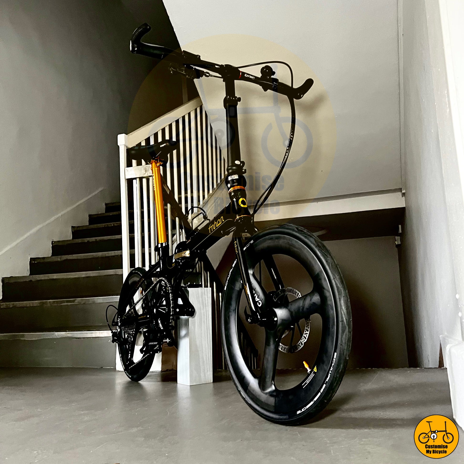 Fnhon Blast 20” Black Gold Foldable Bike with Carbon Wheel for Speed & Style
