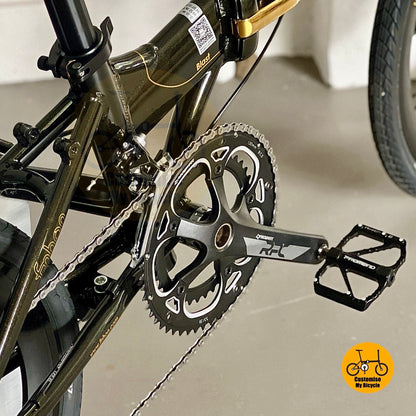 Close up of PROWHEEL hollow 53/39t crankset on Fnhon Blast 20-inch bike
