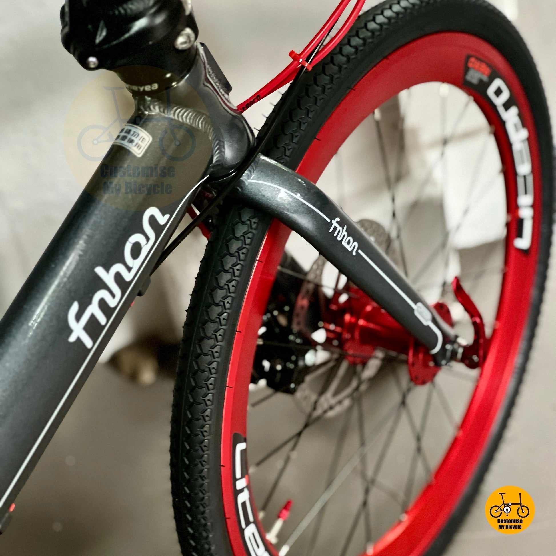 Fnhon Blast folding bicycle with Litepro wheels and Dolphin Grey frame  
