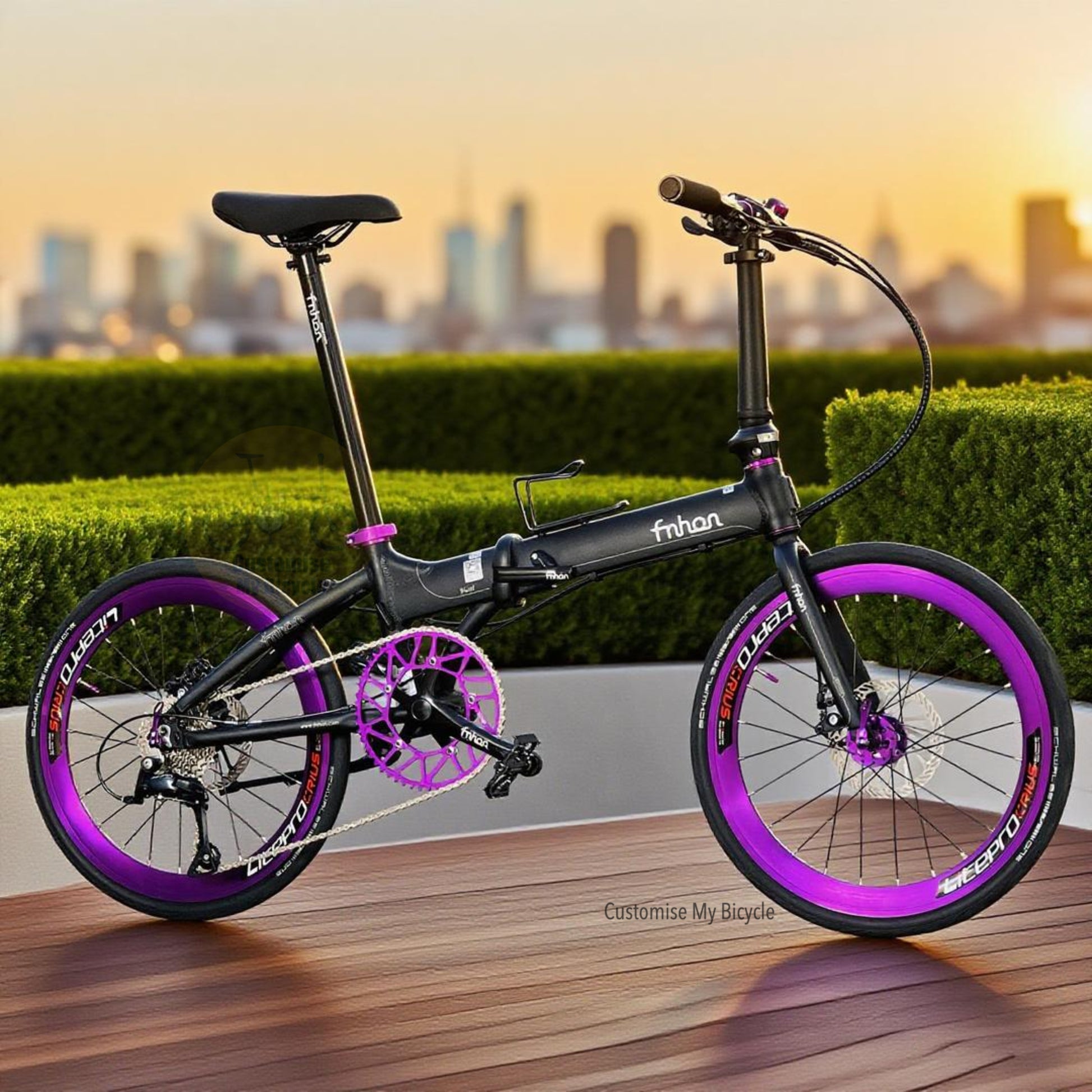 Fnhon Blast 22 Inch Folding Bike Matte Black Shimano 9 Gears Litepro Wheelset Schwalbe One Tyres Lightweight Aluminium Folding Bicycle
