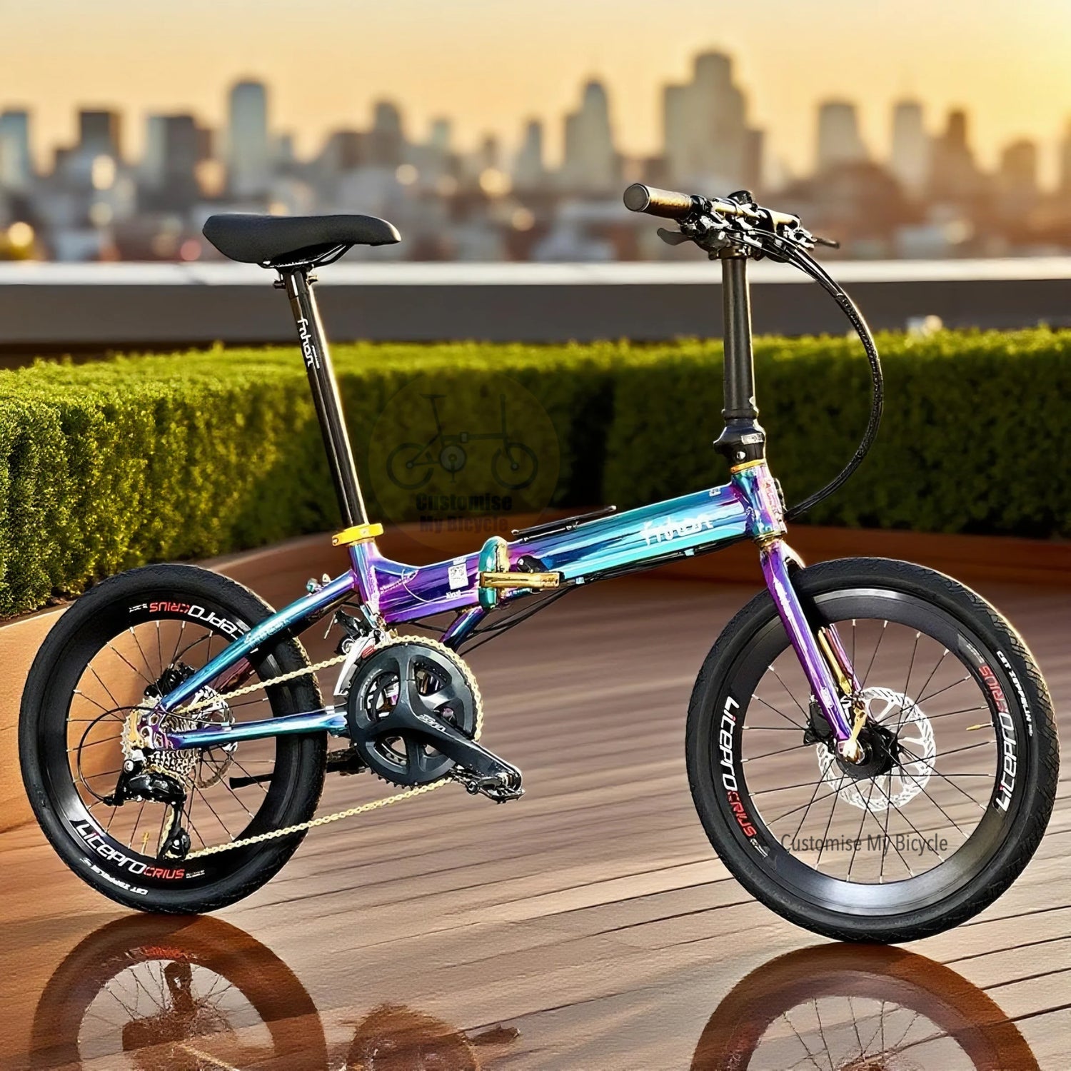 Fnhon Blast 20 Inch Folding Bike Oil Slick Shimano 2x9 Hydraulic Disc Brake
