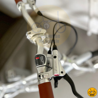 Zoom Hydraulic Brake on Platinum Silver Fnhon Blast 22-Inch Foldable Bicycle – A Durable & Stylish City Ride
