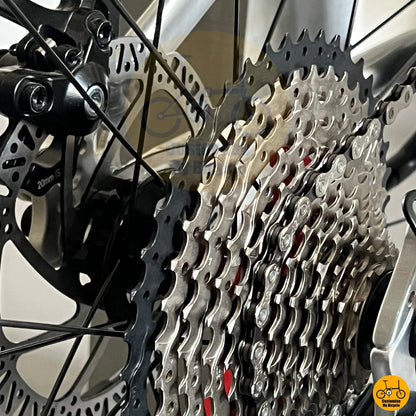 Foldie with Shimano 12-speed for road and PCN use