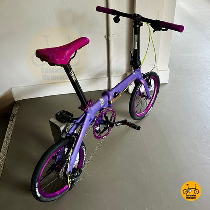 Fnhon folding bike in limited edition Evangelion theme  
