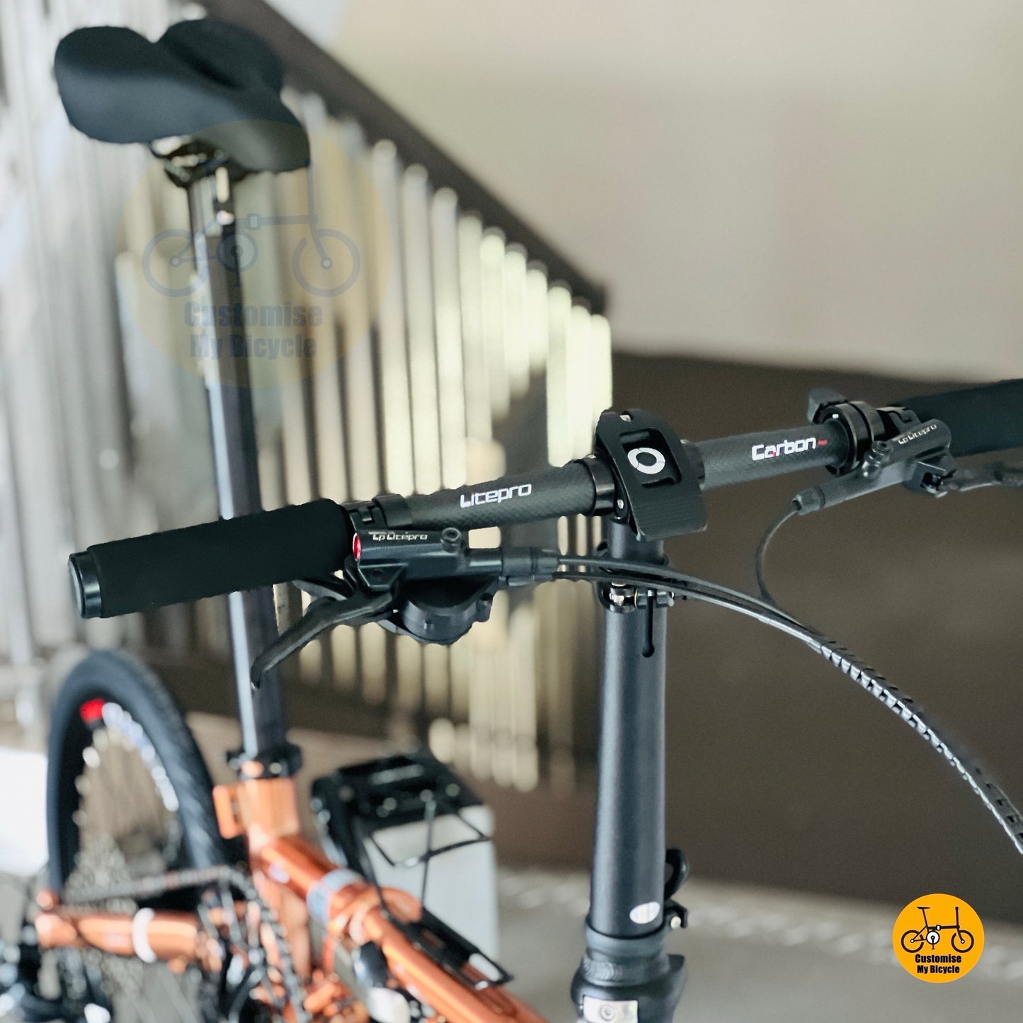 Fnhon Gust 18 Inch Folding Bike Rose Gold Shimano 9 Gears Chromoly Steel Frame Litepro Wheelset Compact Urban Folding Bicycle
