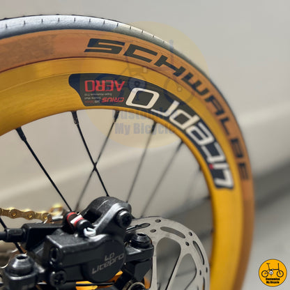 Fnhon Gust 18” • Shimano 10s • Titanium Gold