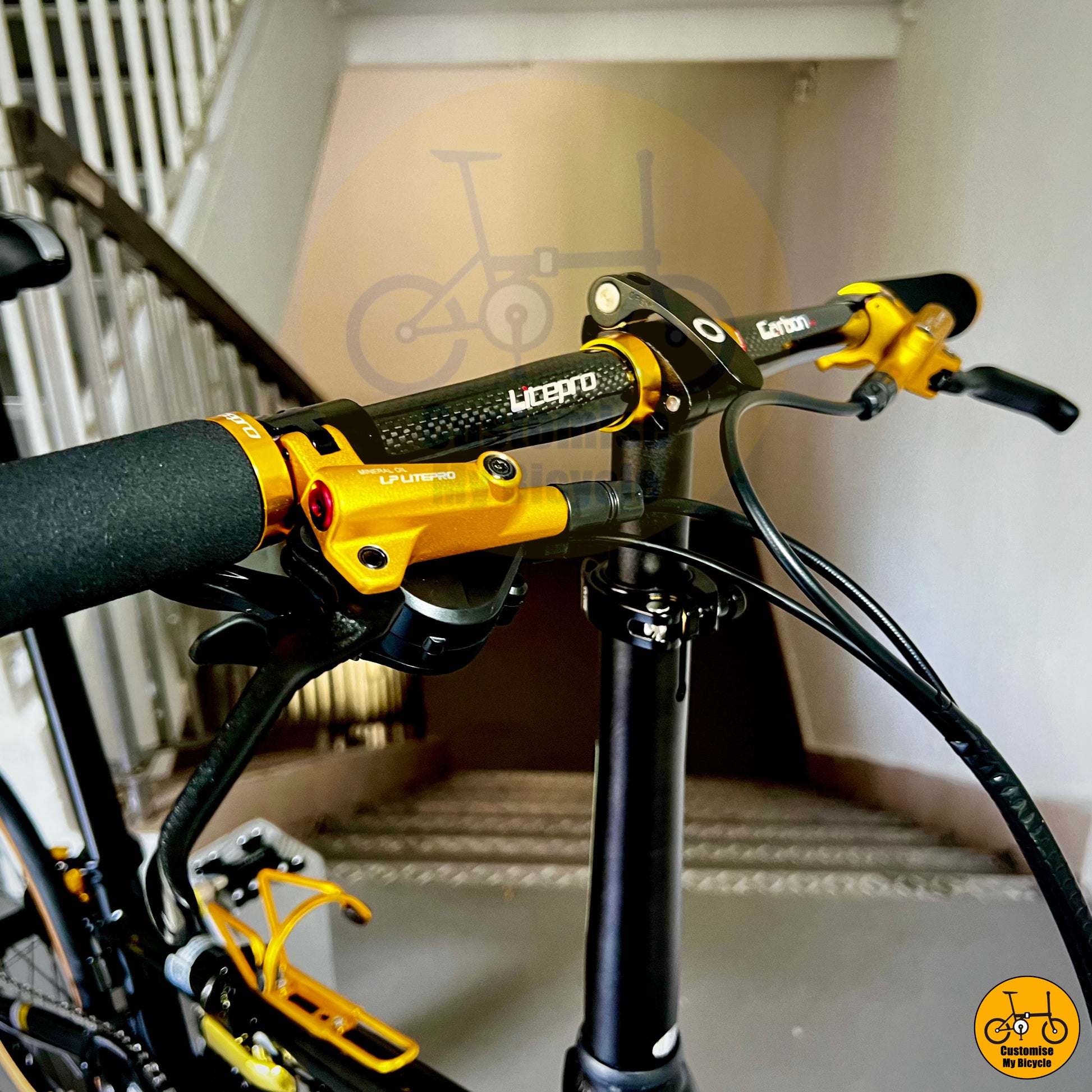 Glossy black Litepro carbon handle bar on Lightweight Fnhon Gust 22-inch with city-friendly features and adjustable components
