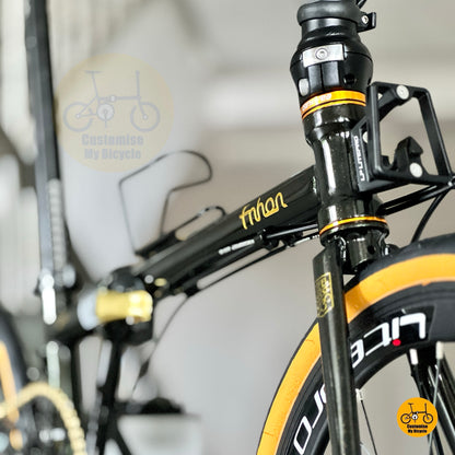 Front angled view highlighting Black Gold chromoly steel frame and fork
