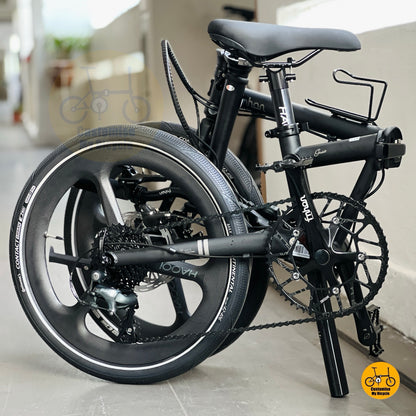 Basikal Lipat Fnhon Gust 20 Inci Matte Black Shimano 10 Kelajuan Brek Cakera Hidraulik Basikal Ringan Untuk Bandar
