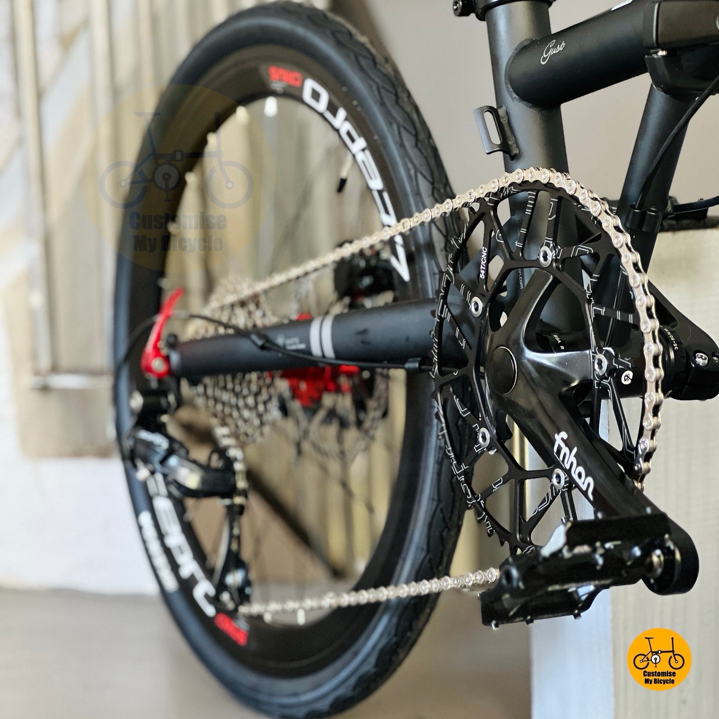 Fnhon Gust folding bike crankset close up Litepro hollow 54t chainring lightweight crank detail
