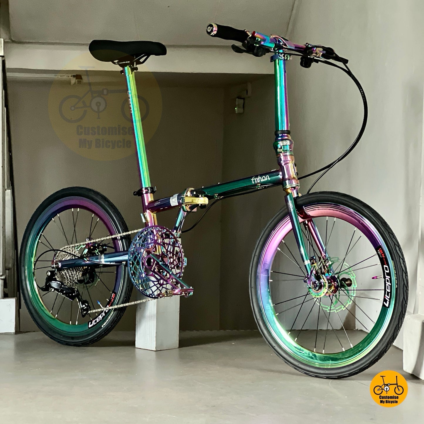 Sepeda lipat Fnhon Gust 22 inci Oil Slick Shimano 9s dengan roda Litepro
