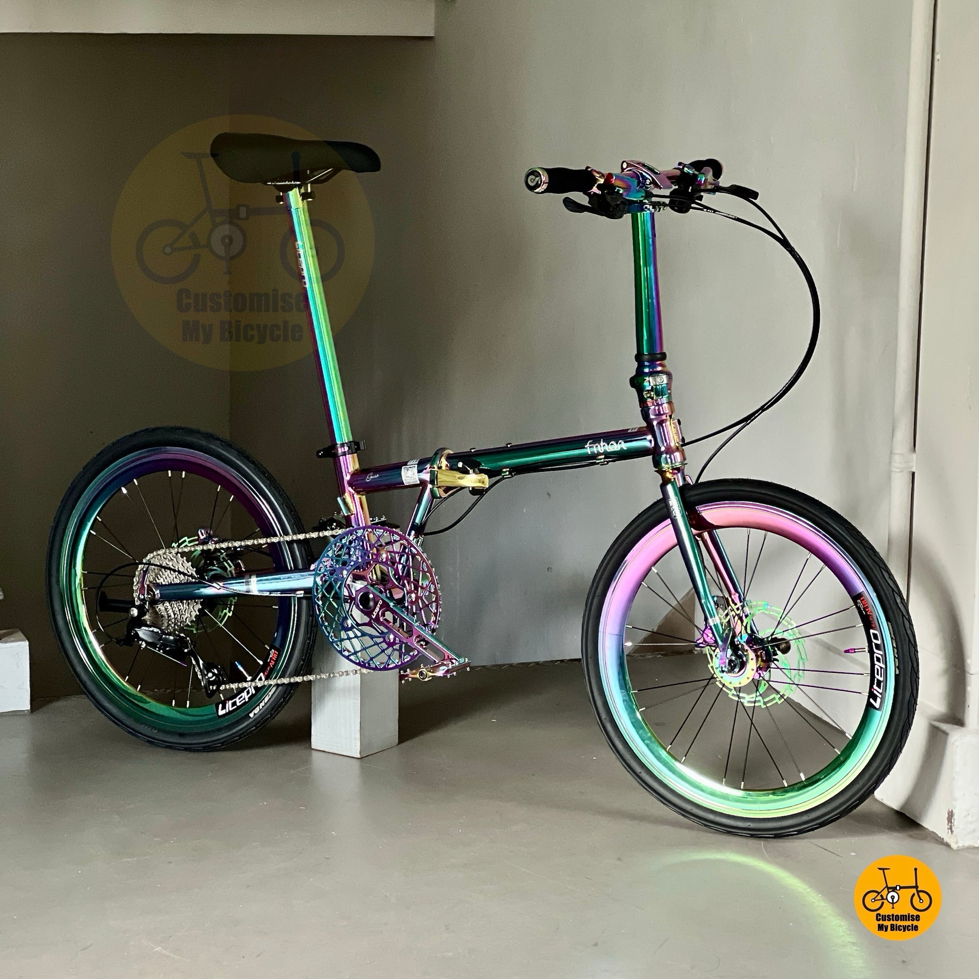 Sepeda lipat Fnhon Gust 22 inci Oil Slick Shimano 9s dengan roda Litepro
