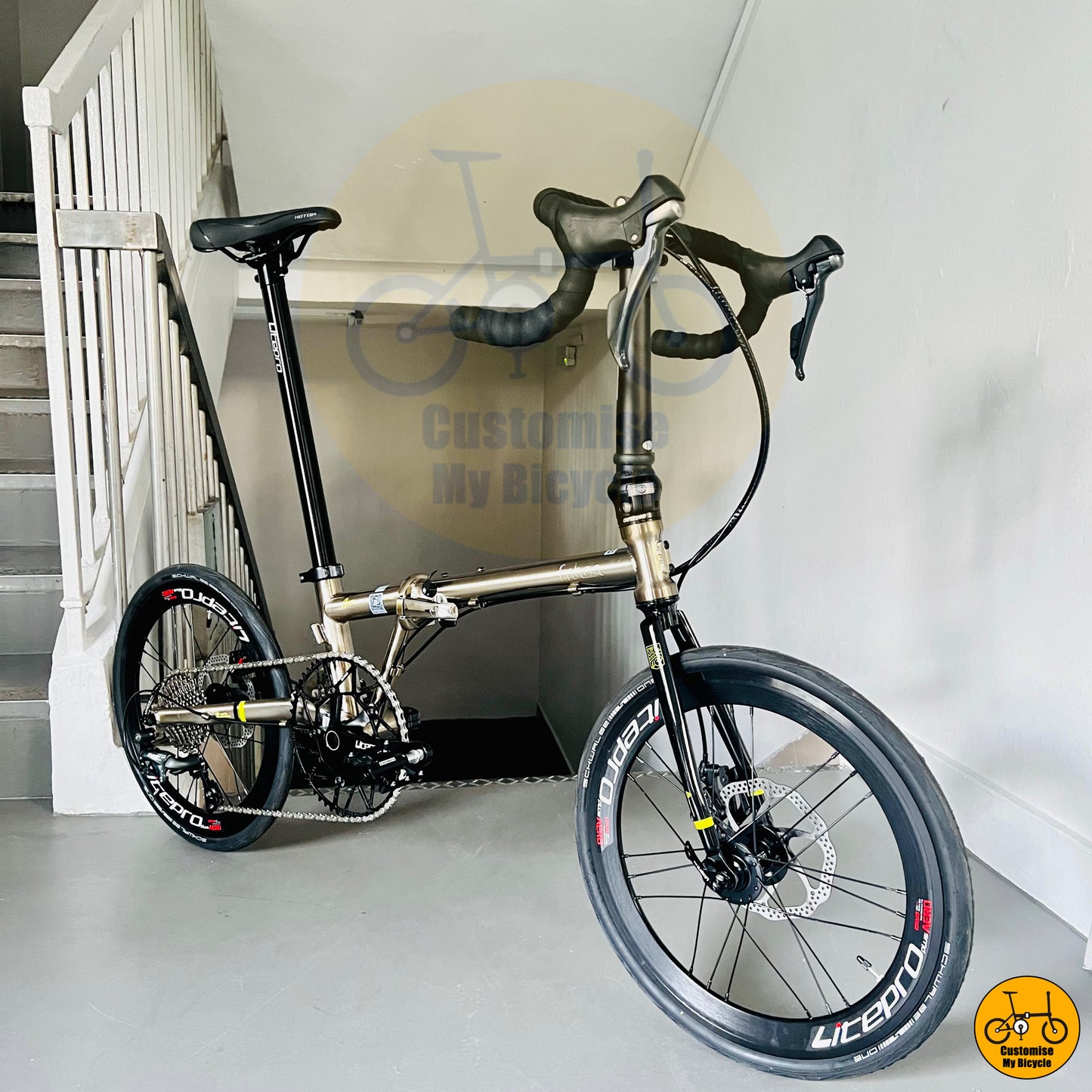 Fnhon Gust 20-inch Foldable Road Bike – Fast & Sleek Alternative to Giant & Specialized
