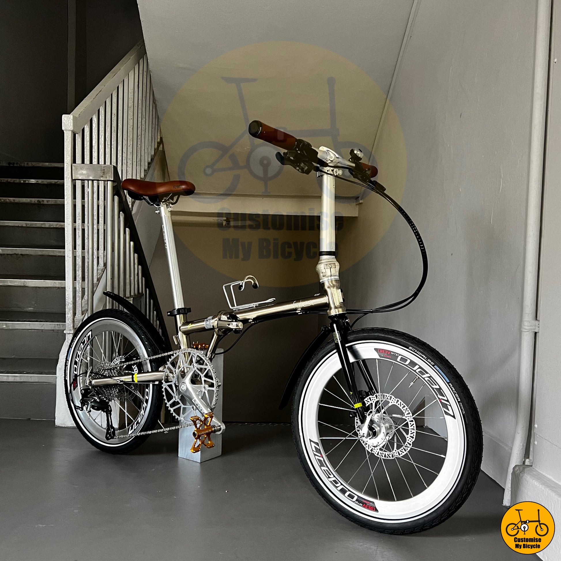 Fnhon Gust 20-inch Foldable Bicycle – Classic Titanium Gold Frame with Litepro Wheels
