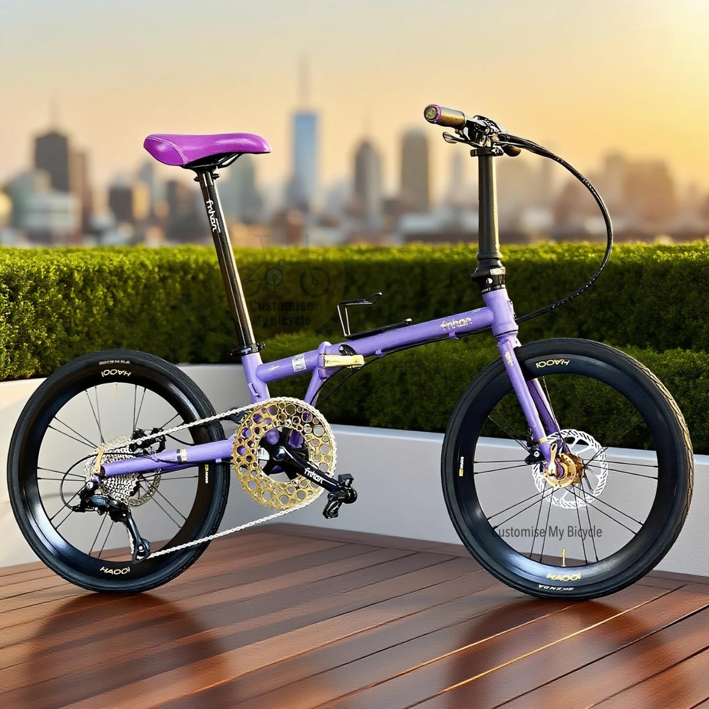 Fnhon Gust 22 Inch Folding Bike Velvet Purple Shimano 9 Gears Chromoly Steel Frame Singapore
