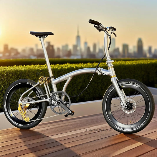 Folding Bike Fnhon GT20 20 inch Polished Silver 10 Speed Dedicated Gear High Performance Foldable Bicycle Singapore Brompton