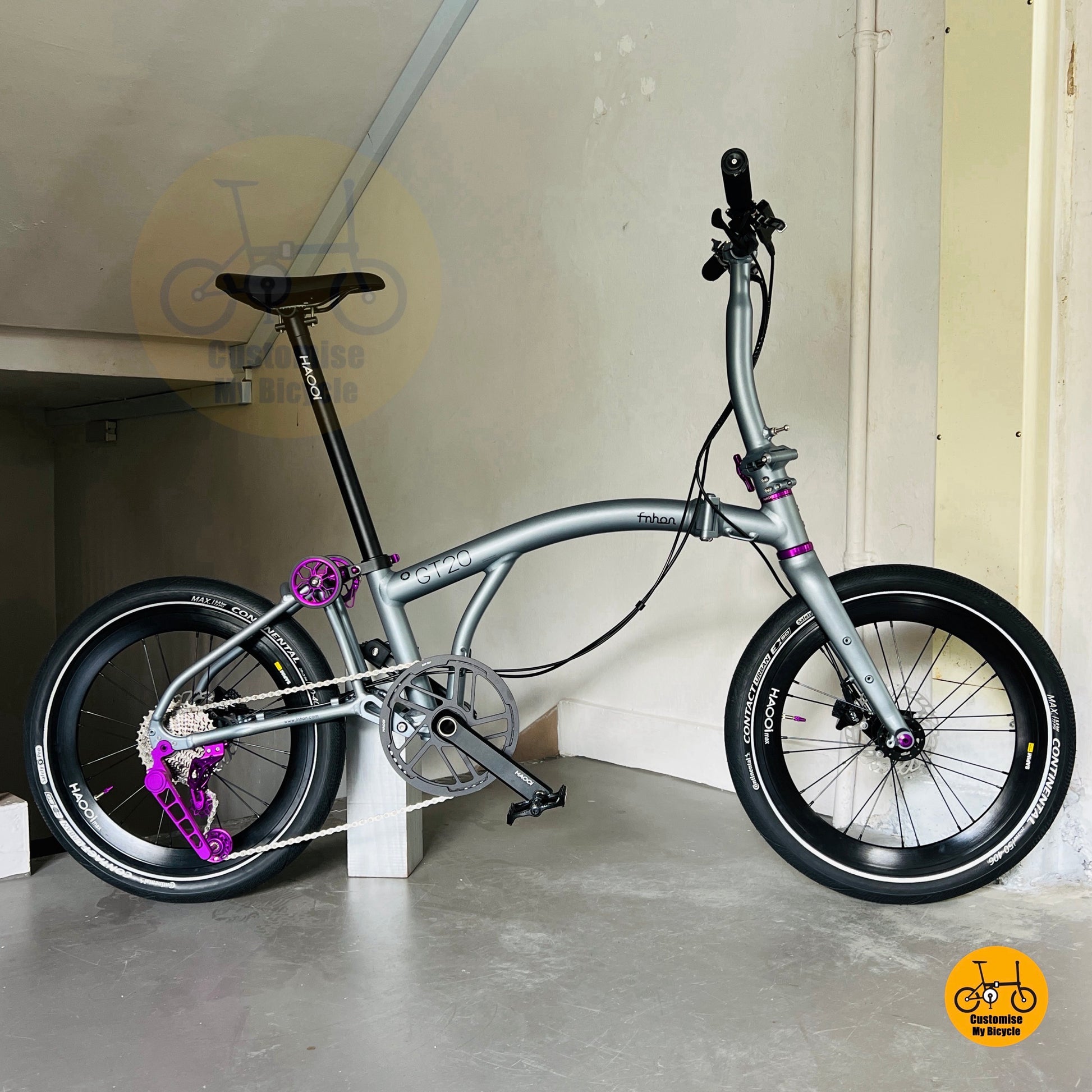 Basikal Lipat Fnhon GT20 20 Inci Shimano 10 Kelajuan Warna Titanium Grey Ringan Untuk Bandar
