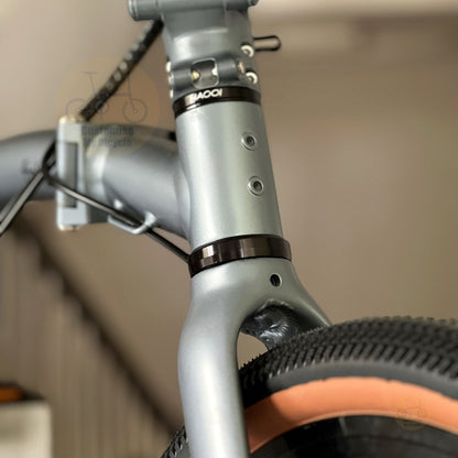 Fnhon GT20 20" Titanium Grey folding bike with IIIPRO Ivar hydraulic disc brake