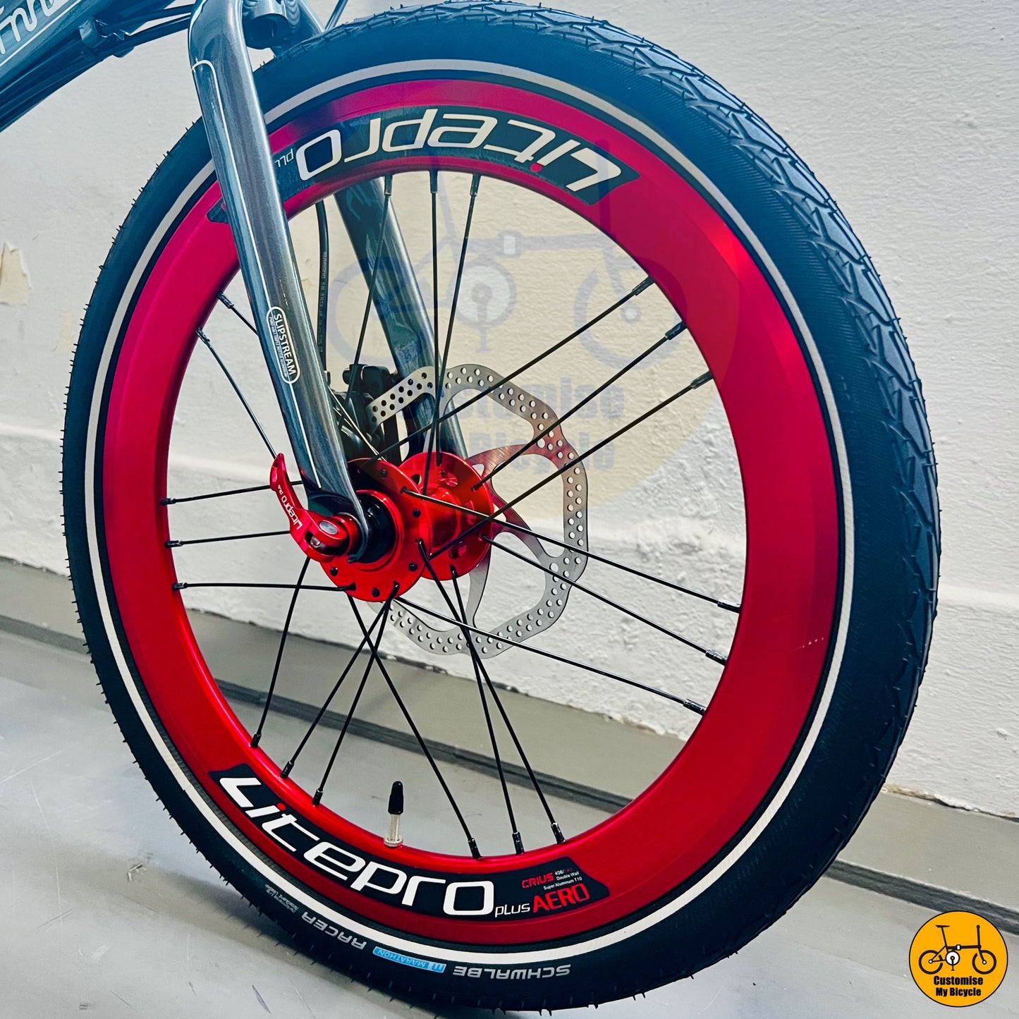 Schwalbe Marathon Tyre Fnhon Monsoon 20-Inch Foldable Bicycle – Anti-Puncture for Durability
