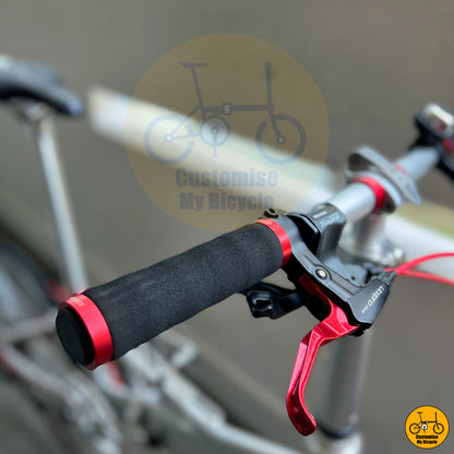 Sleek & Stylish Fnhon Monsoon 22-Inch Folding Bike – Designed for Comfort & Speed
