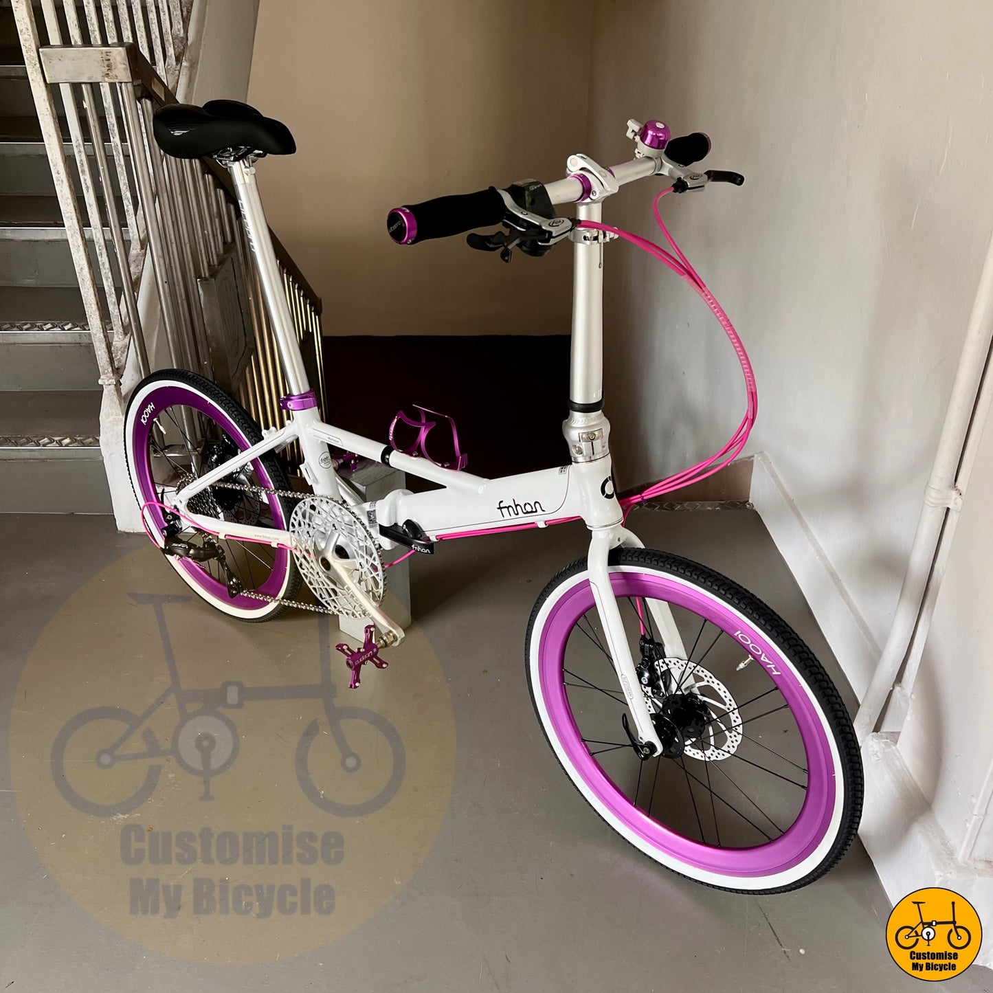 Chameleon Shine Fnhon Monsoon 22-Inch Foldable Bicycle – A Unique & Eye-Catching Ride
