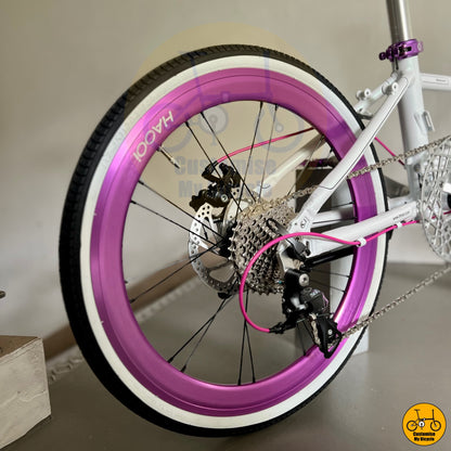 Haooi Aero Purple Wheelset on Compact & Durable Fnhon Monsoon 22-Inch Foldie – A Ride That Blends Form & Function

