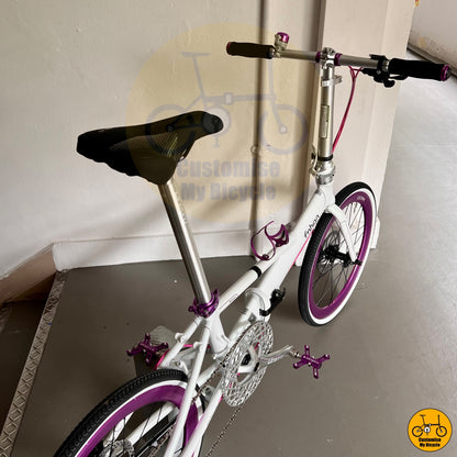 Sleek & Modern Fnhon Monsoon 22-Inch Folding Bike – Optimized for Comfort & Speed
