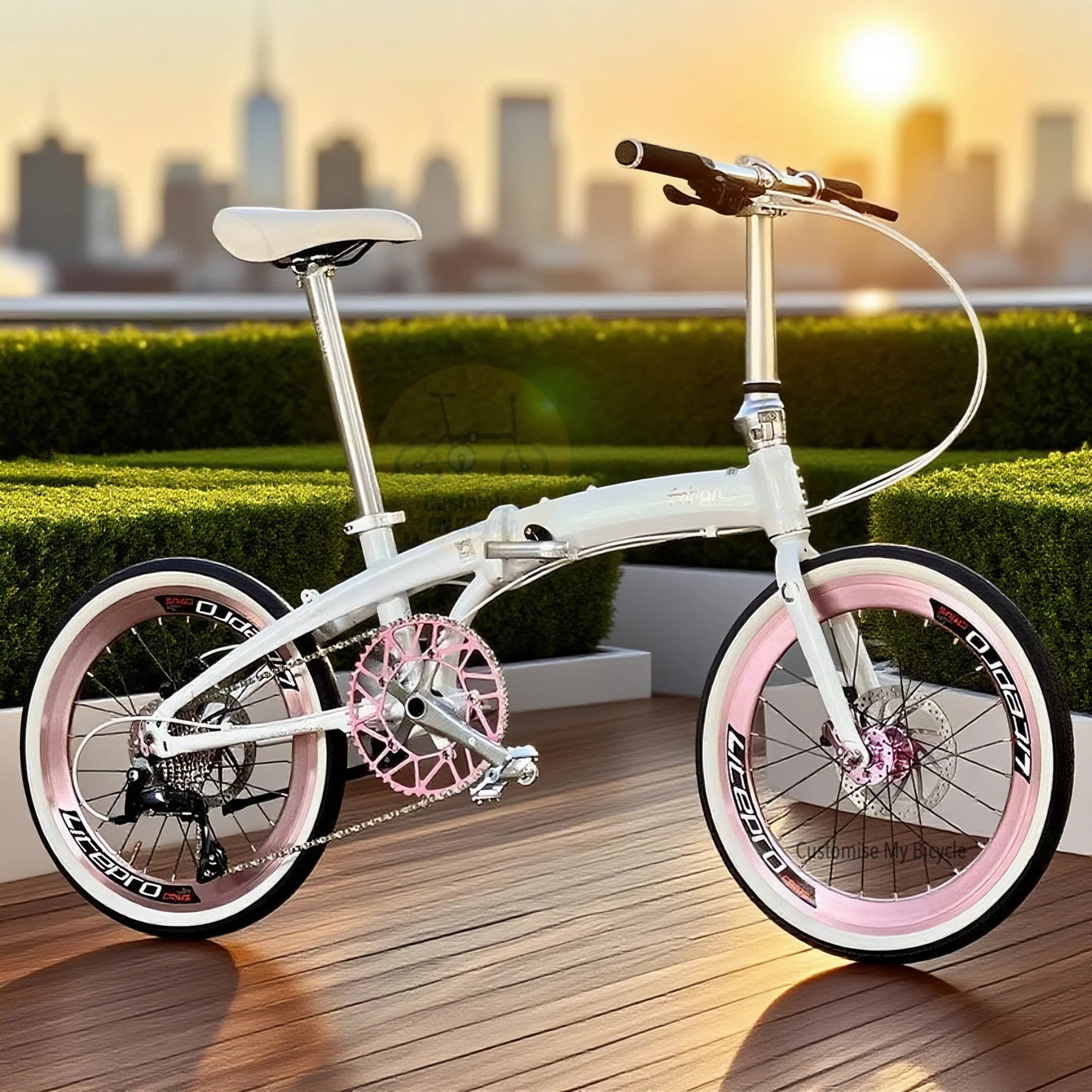 Folding Bicycle Fnhon Mini-Tornado 16 Inch 349(18