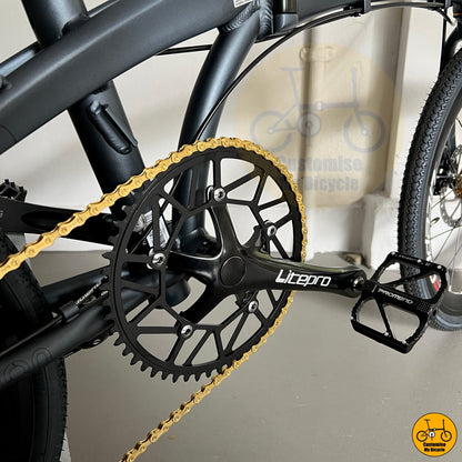 Gold Chain and hollow chainring