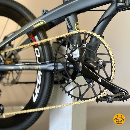 Close up of Litepro crankset with gold chain