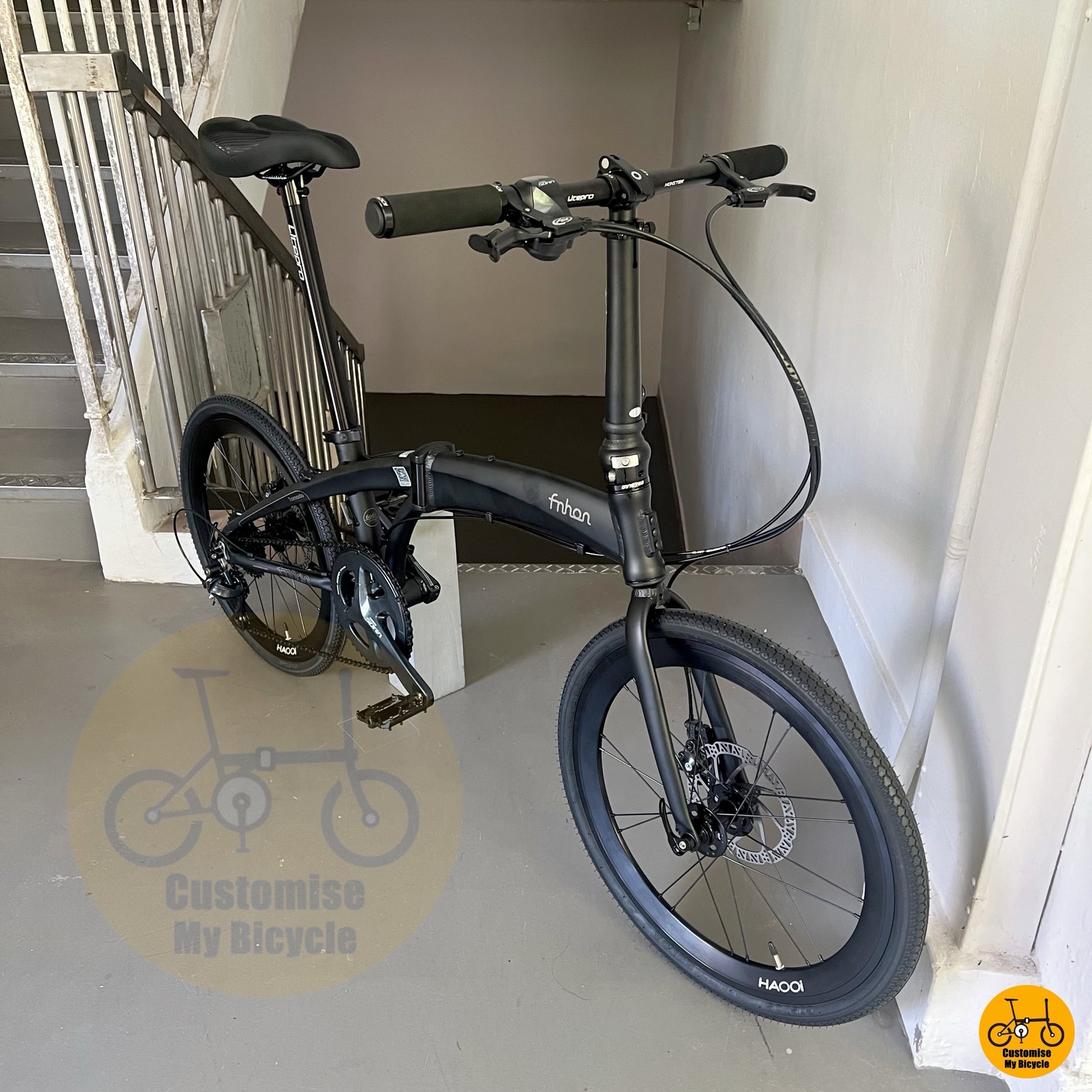 Fnhon Tornado 22 Lightweight Foldable Bike with Low Key Frame and Loud Freehub
