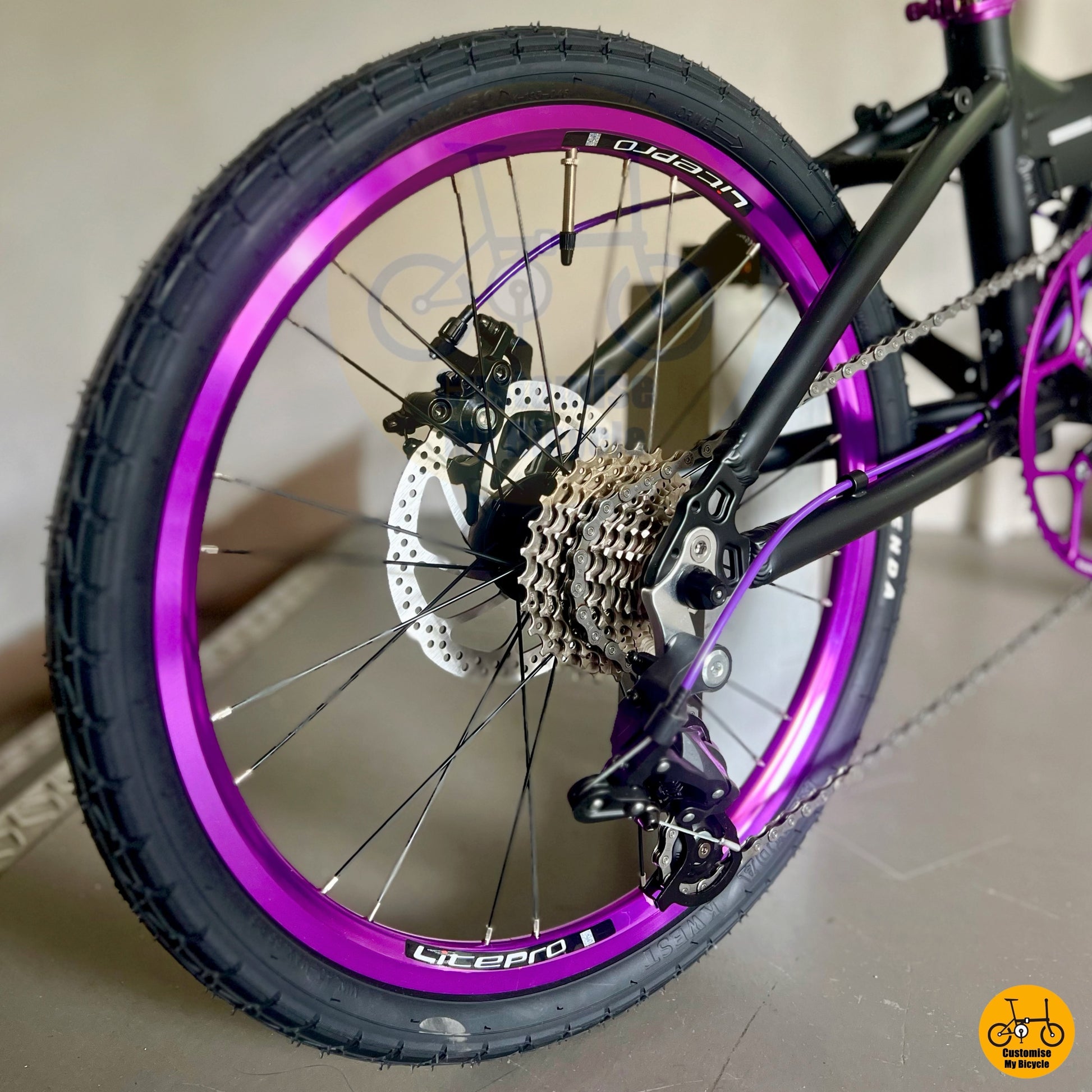 Reliable Litepro foldie with disc brakes and 1x drivetrain
